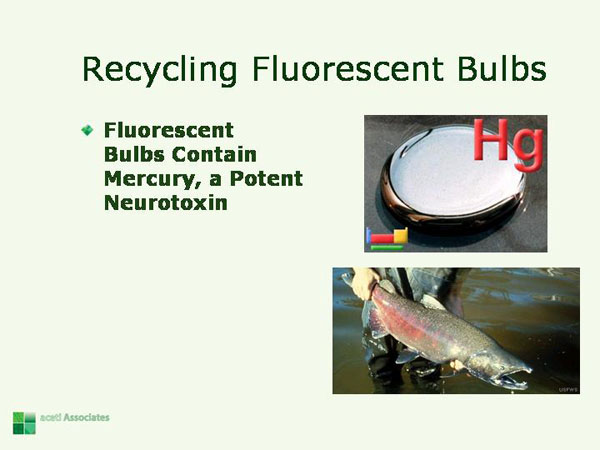 Recycling Fluorescent Bulbs